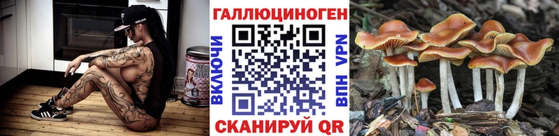 Галлюциногенные грибы Psilocybine cubensis  Усинск 