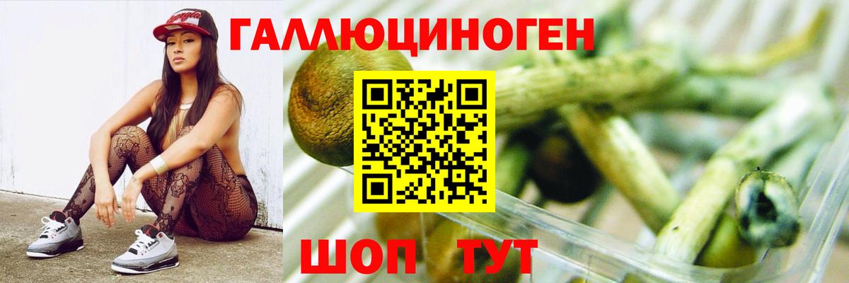 Усинск  Псилоцибиновые грибы Psilocybine cubensis  Галлюциногенные грибы Psilocybe  Вход с VPN 